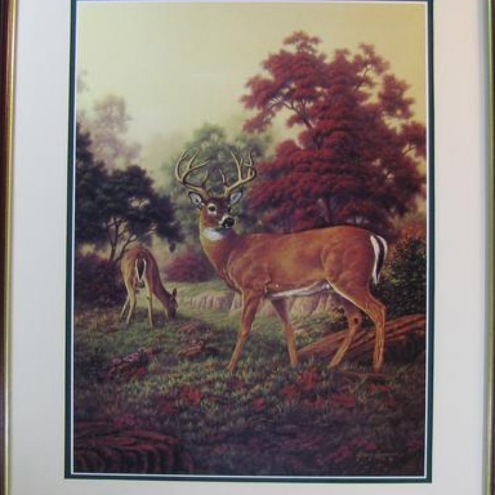 Rare, Vintage "White- Tailed Deer Scene" , signed